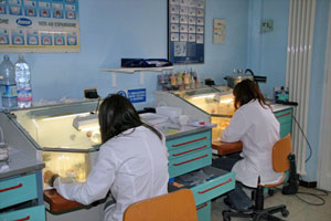 Laboratorio Normocclusion